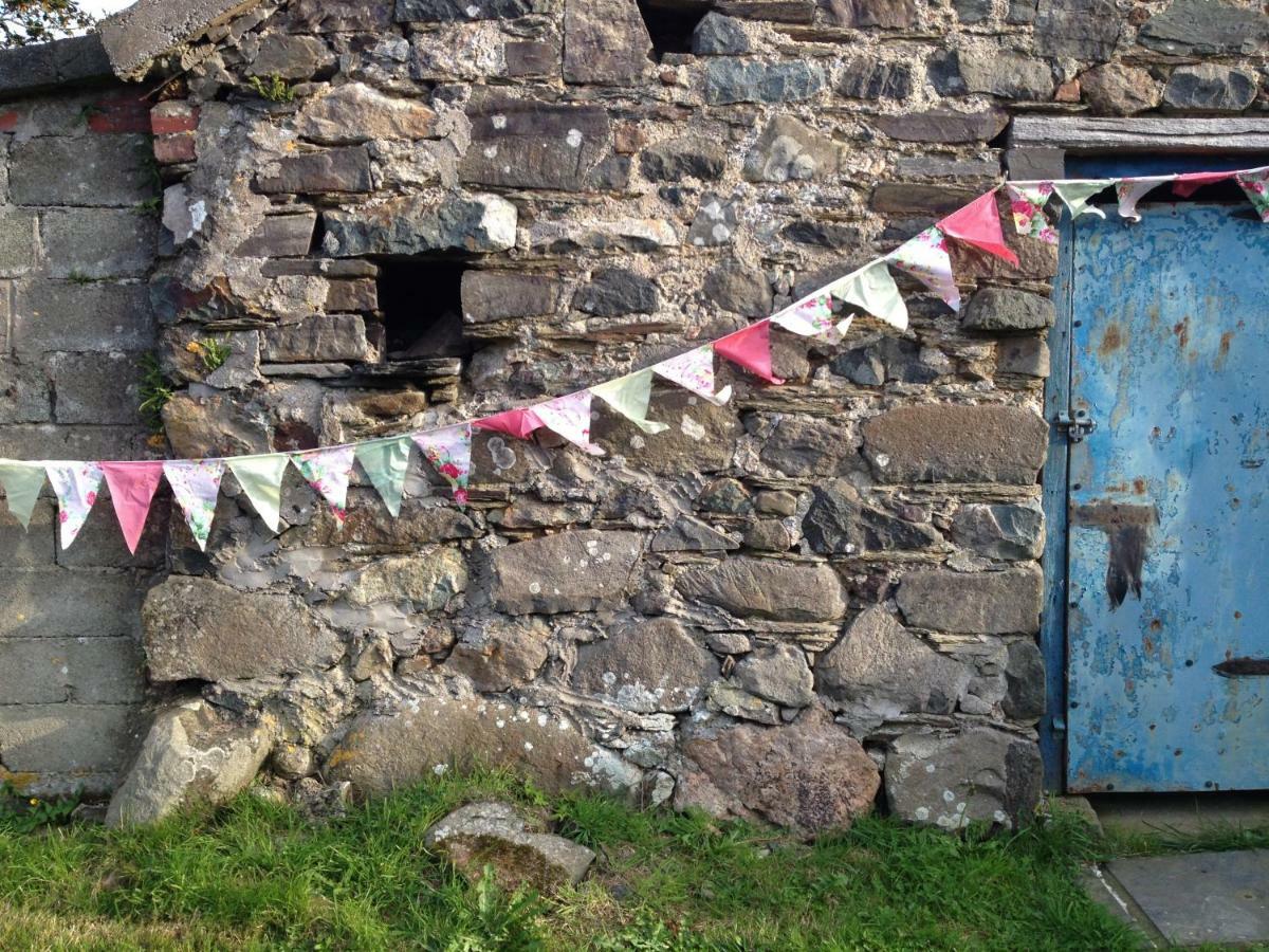 Llety Farm Bed and Breakfast St. Davids  Exteriör bild