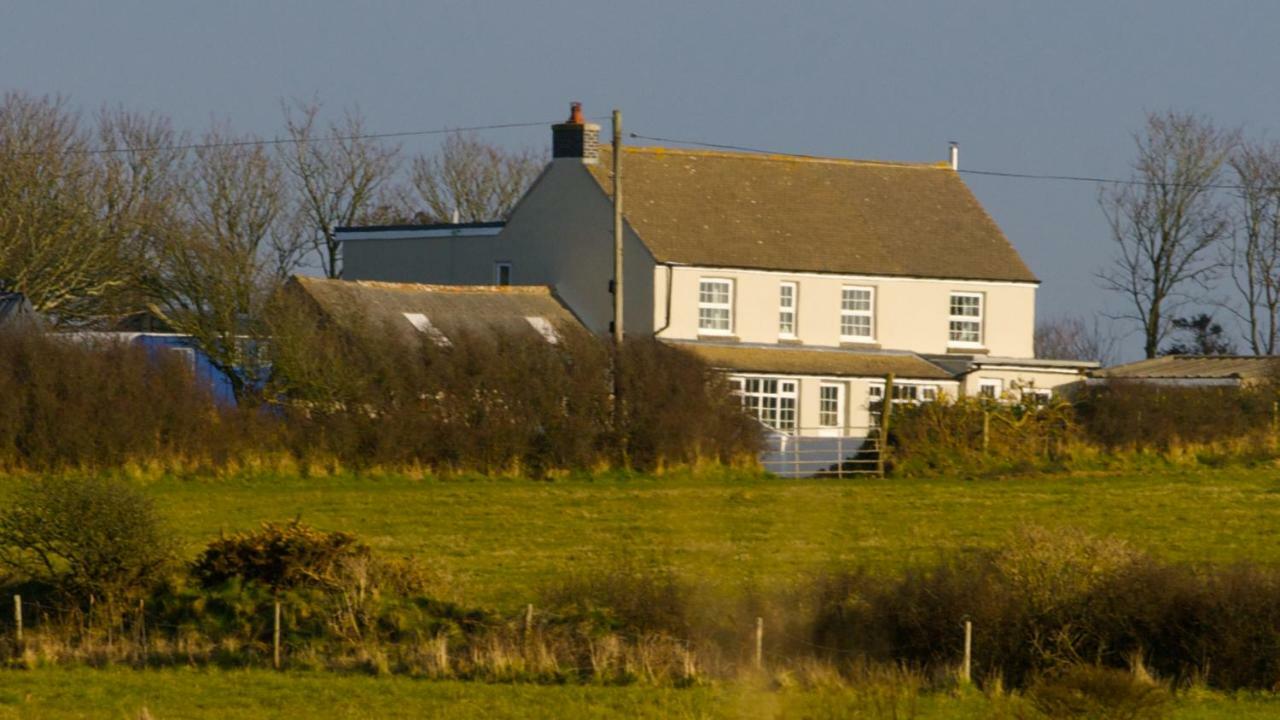 Llety Farm Bed and Breakfast St. Davids  Exteriör bild